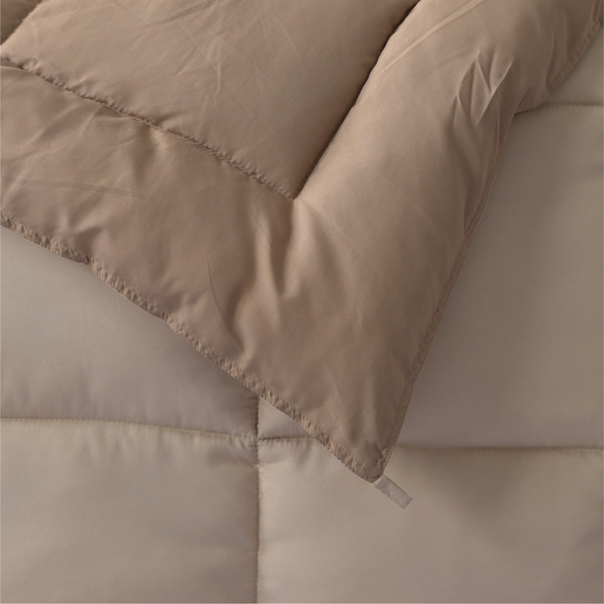 Boston Almond Mist Reversible Comforter