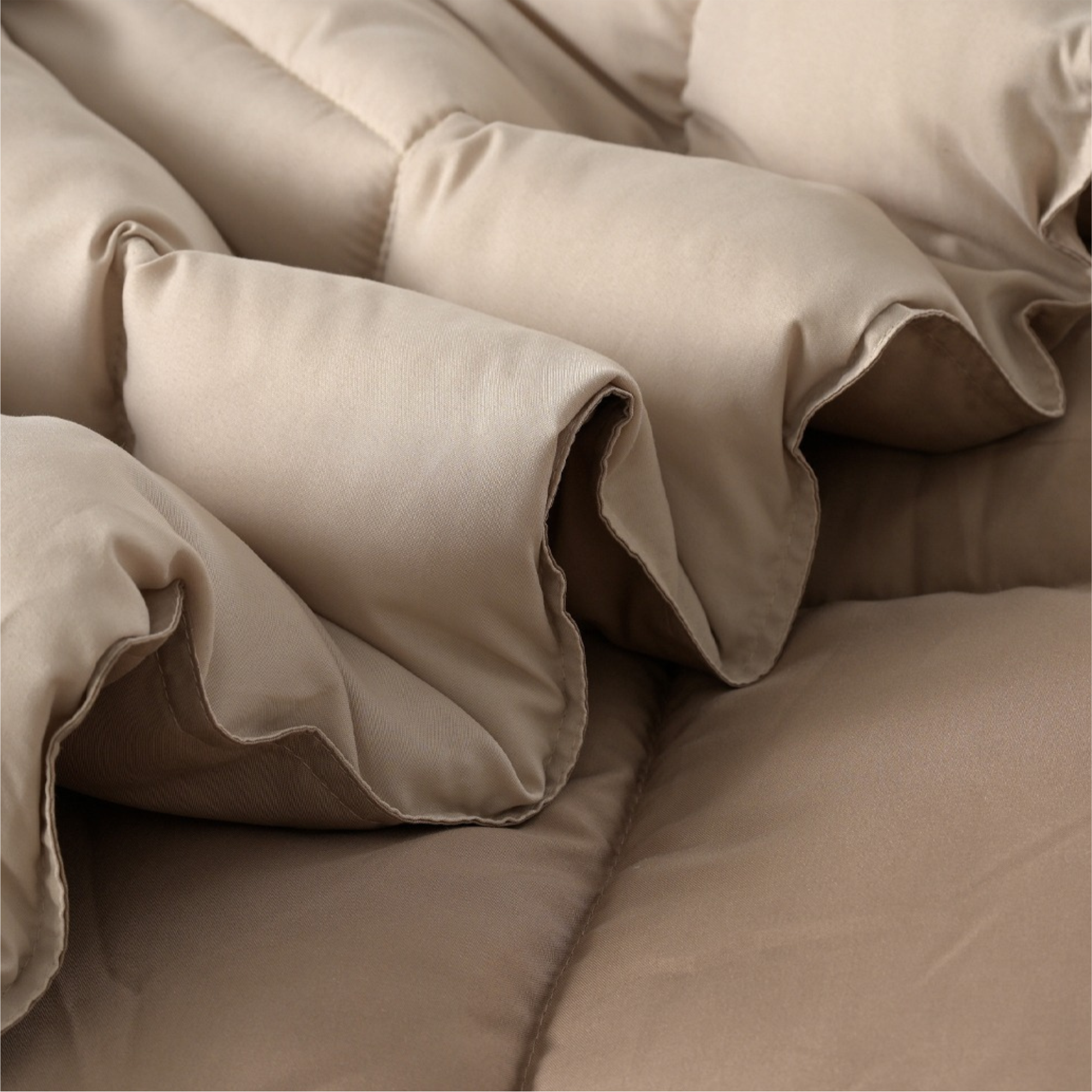 Boston Almond Mist Reversible Comforter